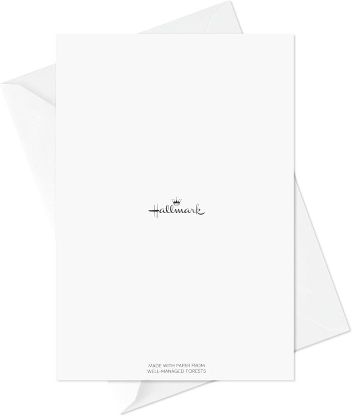 Hallmark: Graduation Cards Bulk Assortment (36 Cards & Envelopes) To Celebrate Classmates, Friends & Family, 6 Different Styles - Image 5