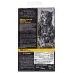 Star Wars: The Black Series - Pirate Captain Brutus (Port Borgo) (Skeleton Crew) 6" Figure By Hasbro - Image 8